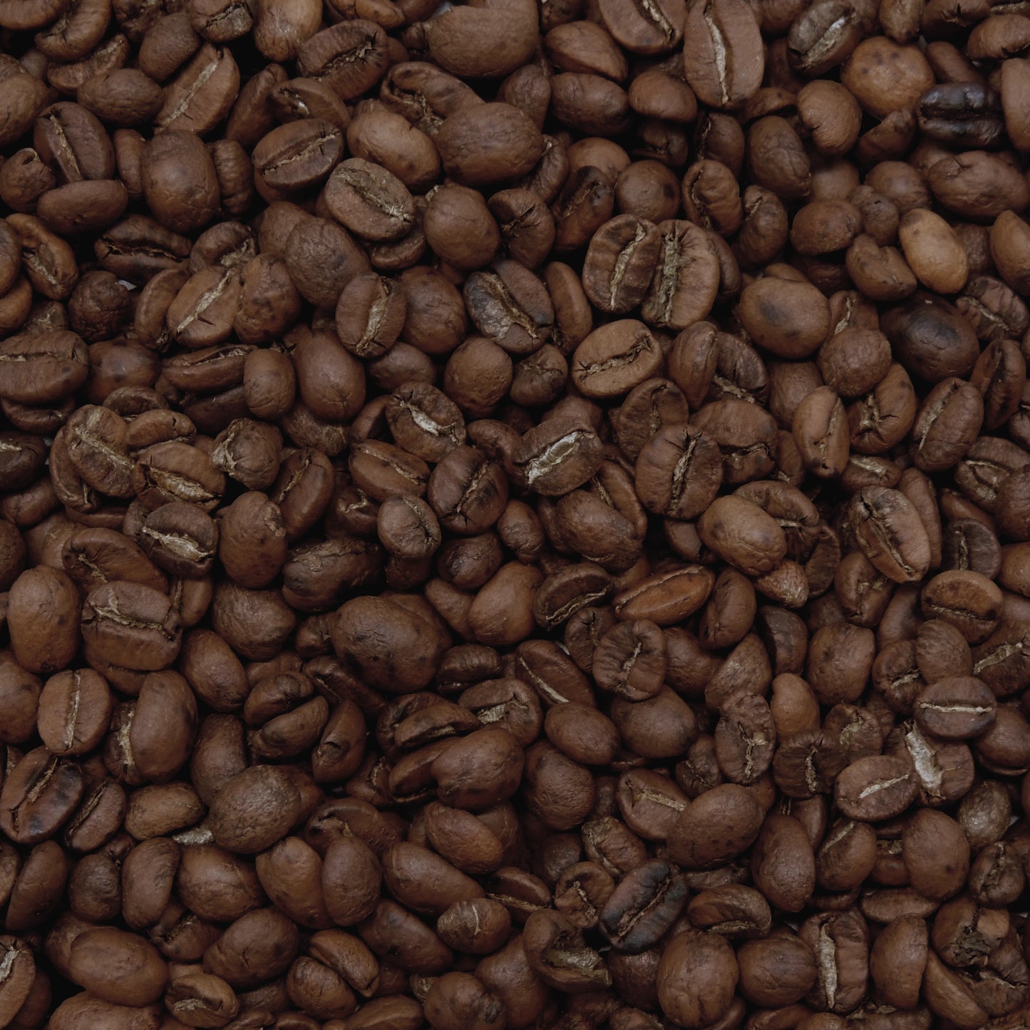 Guatemala Single Origin Whole Bean Coffee